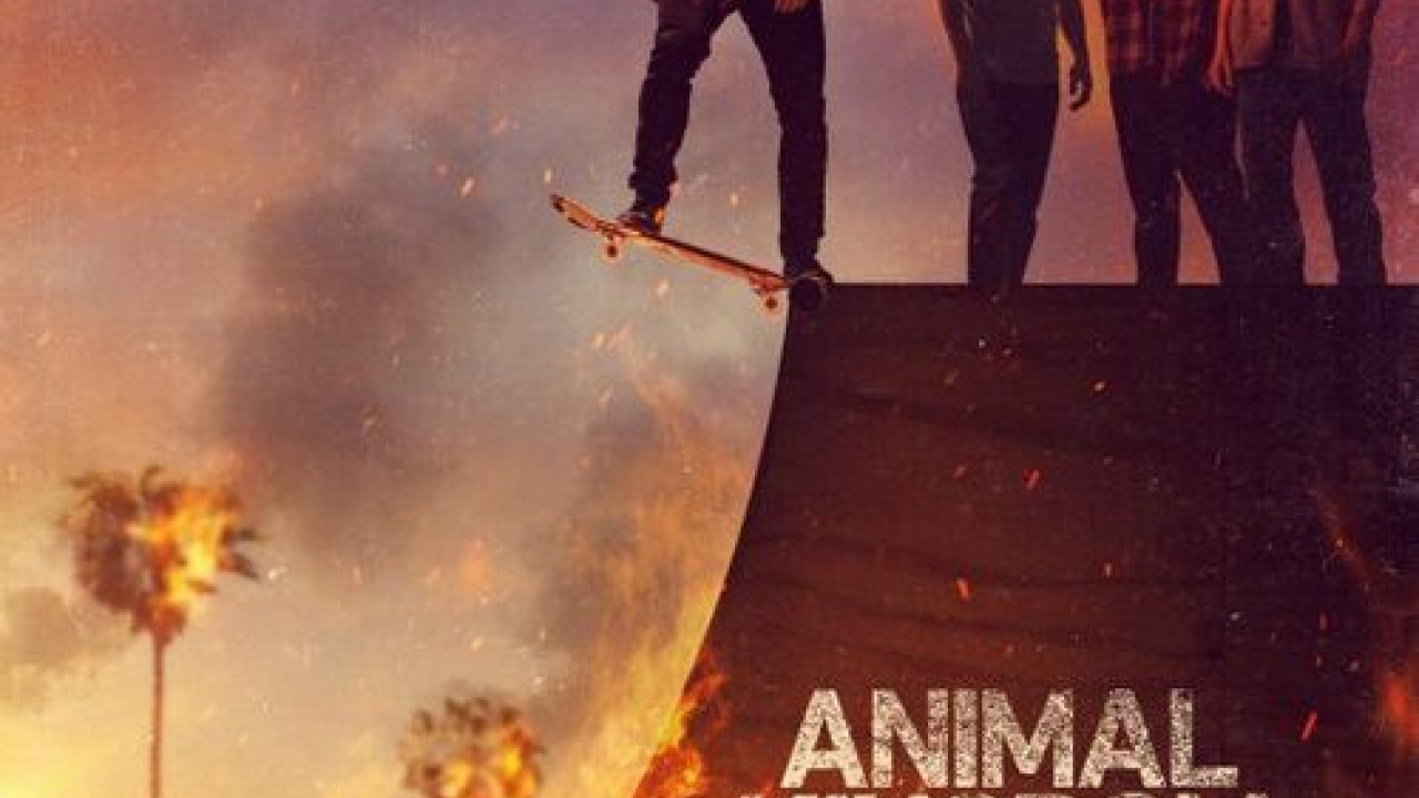 Animal Kingdom الموسم السادس الحلقة 8