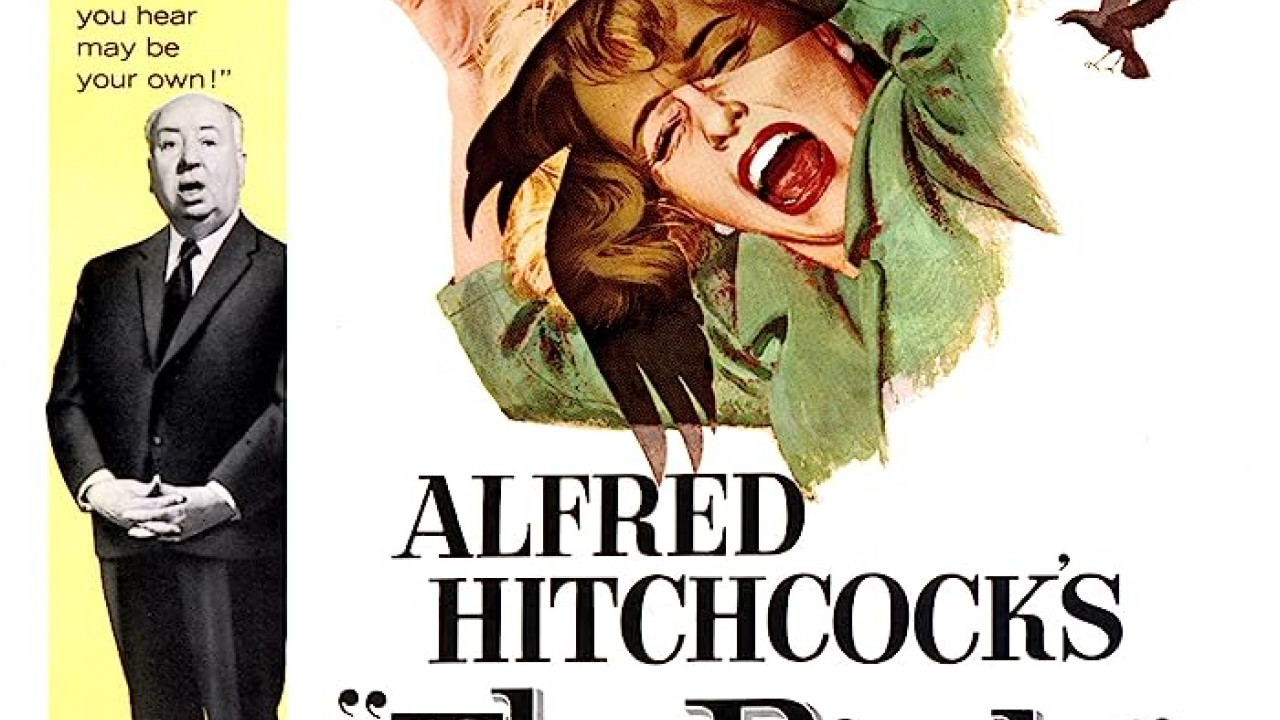 فيلم The Birds 1963 مترجم