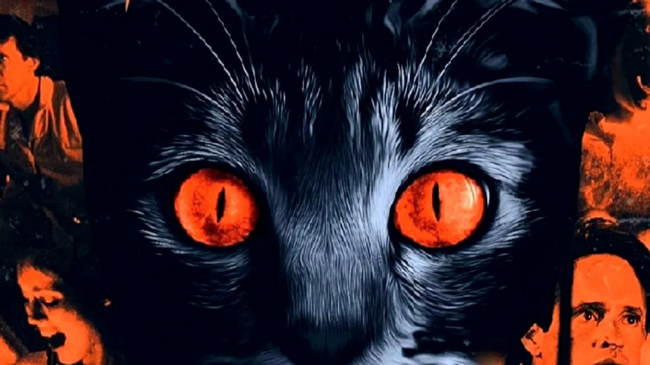 Cat's Eye ( 1985 )