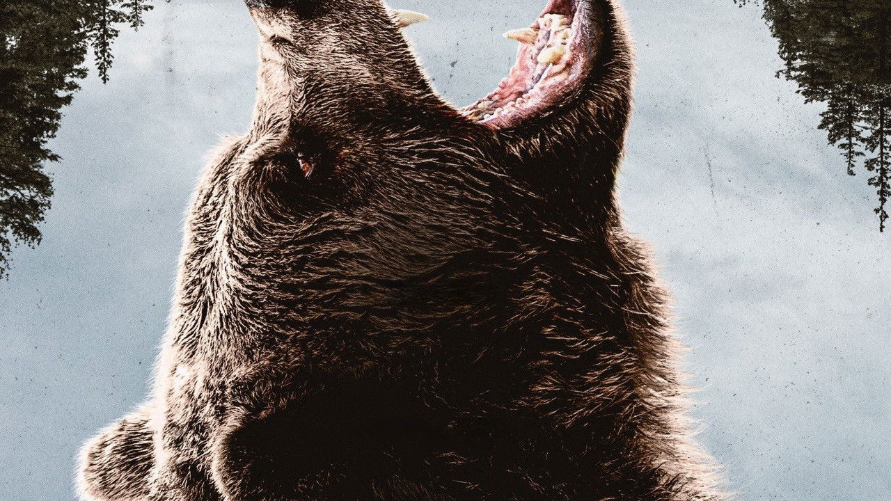 Grizzly Night ( 2026 )